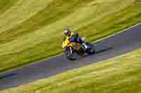 Evening Low_Mid Group Yellow Bikes